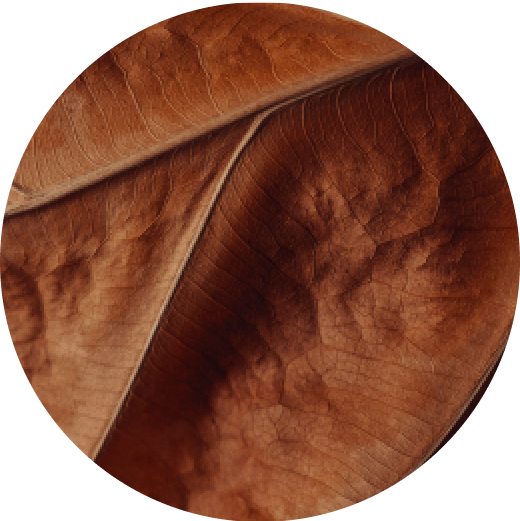 VEEV ONE Classic Tobacco e-liquid pod